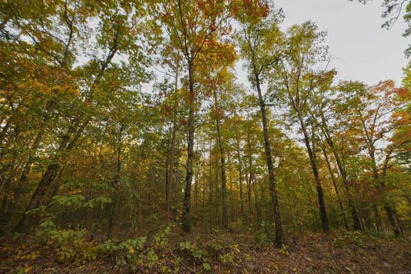 3.49 ACRES BANNER LOOP ROAD, SHIRLEY, AR 72153 - Image 1