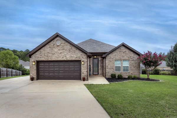 8102 N HAVEN DR, ALEXANDER, AR 72002 - Image 1