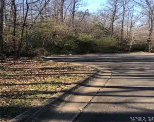 LOT 33 HIDDEN EAGLE TERRACE, HOT SPRINGS, AR 71901, photo 3 of 10