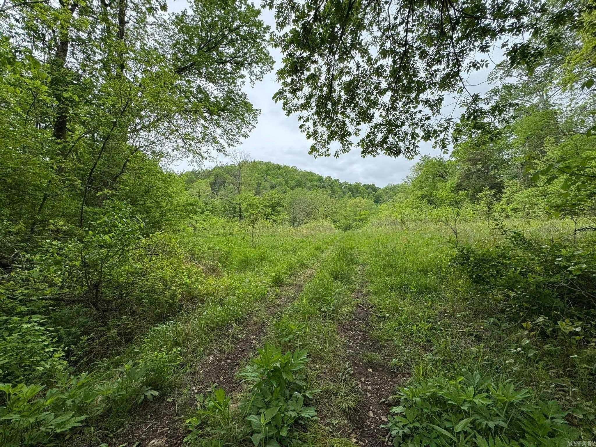 Fifty-Six, Arkansas, 72533, United States, 3 Bedrooms Bedrooms, ,1 BathroomBathrooms,Residential,Active,1787166