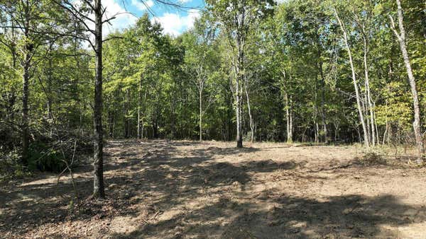 TBD, TRACT 2 POLK ROAD 158, MENA, AR 71953, photo 3 of 18