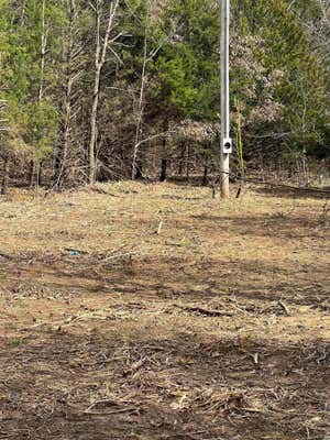 310 ACRES SPRING RIVER RANCH RD, WILLIFORD, AR 72482, photo 5 of 47