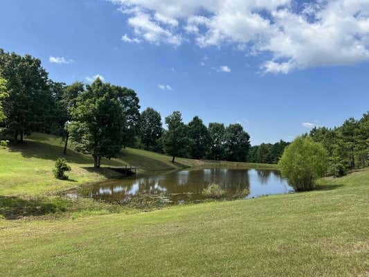 114 MARIGOLD LN, MENA, AR 71953, photo 2 of 50