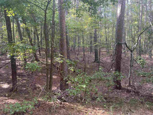 LOT 7 BLK 4 DOSCIENTOS WAY, HOT SPRINGS VILLAGE, AR 71909 - Image 1