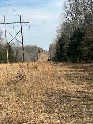 310 ACRES SPRING RIVER RANCH RD, WILLIFORD, AR 72482, photo 3 of 47