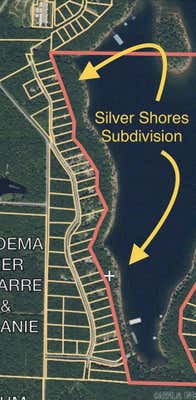 LOTS 37 SILVER SHORES LN., DRASCO, AR 72530 - Image 1