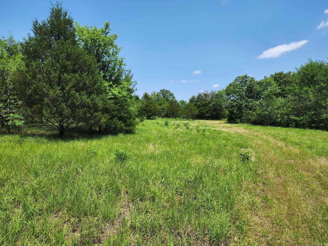 24 ACRES ON CENTER STREET, BALD KNOB, AR 72010, photo 1 of 21