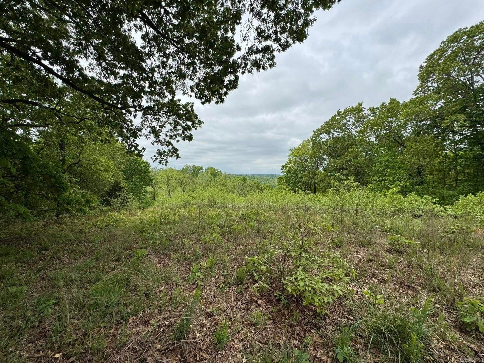 Fifty-Six, Arkansas, 72533, United States, 3 Bedrooms Bedrooms, ,1 BathroomBathrooms,Residential,Active,1787166