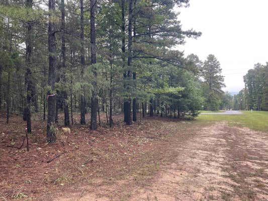 39 CROCKETT RD, GREERS FERRY, AR 72067 - Image 1