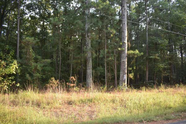 S DIVOKY ROAD ROAD, PINE BLUFF, AR 71601 - Image 1