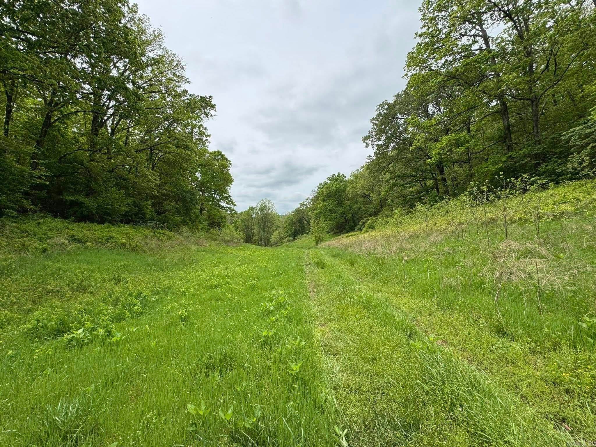 Fifty-Six, Arkansas, 72533, United States, 3 Bedrooms Bedrooms, ,1 BathroomBathrooms,Residential,Active,1787166