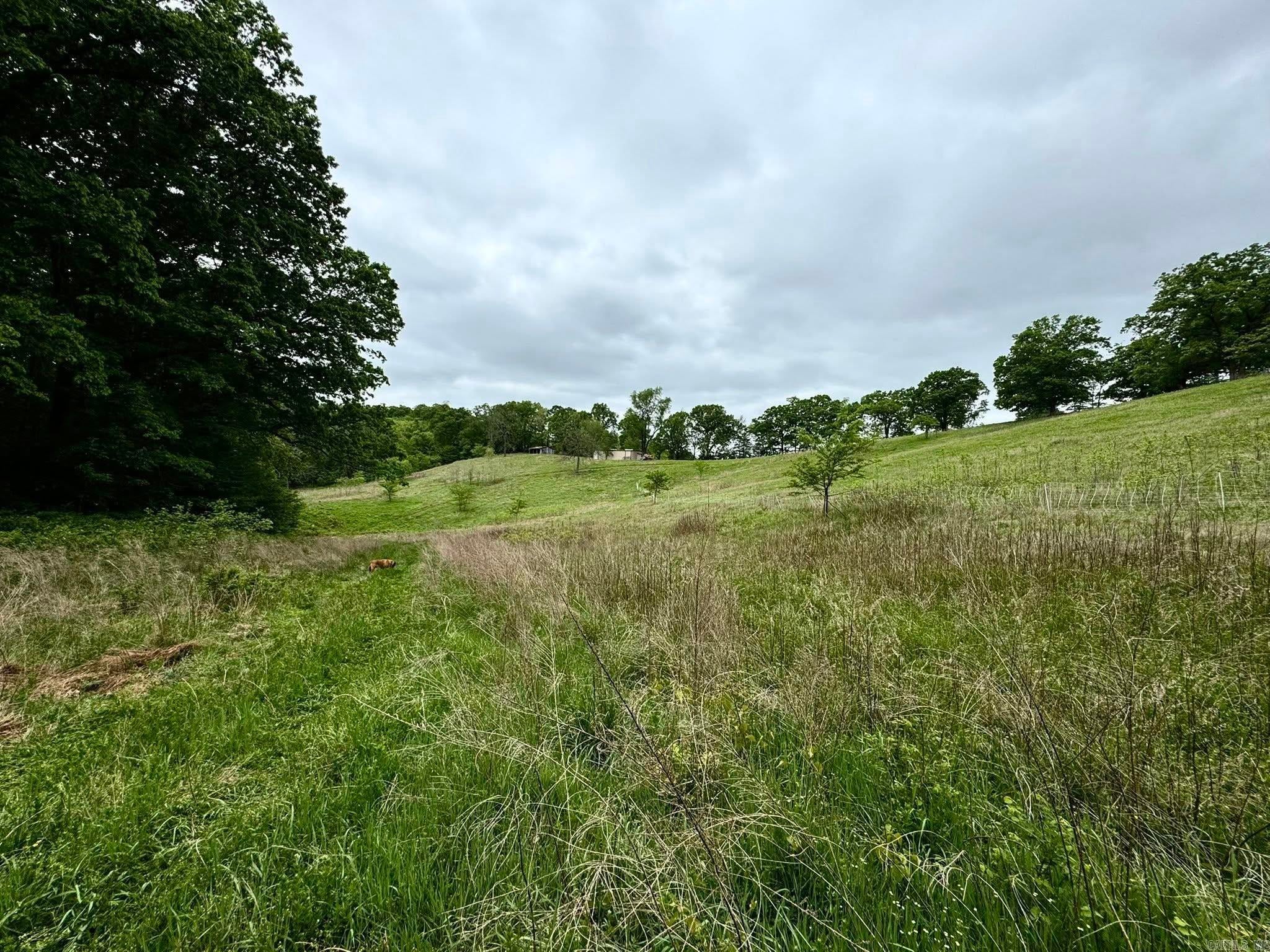 Fifty-Six, Arkansas, 72533, United States, 3 Bedrooms Bedrooms, ,1 BathroomBathrooms,Residential,Active,1787166