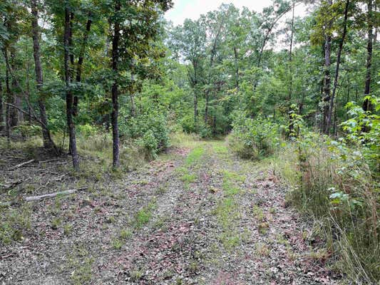 2179 LITTLE RED RIVER RD, MARSHALL, AR 72650 - Image 1