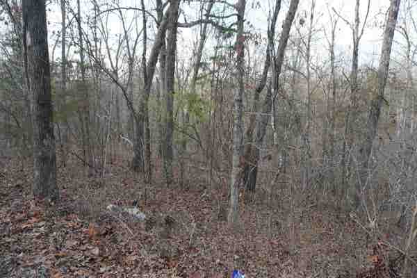 000 ALGONQUIN CIRCLE, CHEROKEE VILLAGE, AR 72529, photo 1 of 5