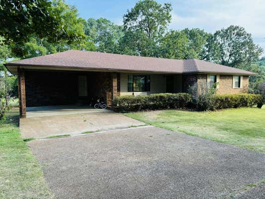 149 WEST RD, MOUNT PLEASANT, AR 72561 - Image 1