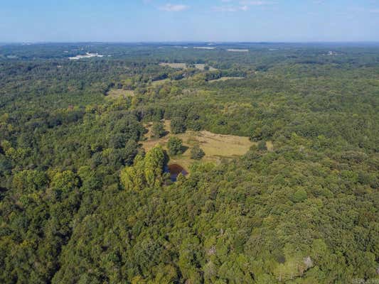 132 ACRES E CARDINAL EAST RD ROAD, CAVE CITY, AR 72521 - Image 1