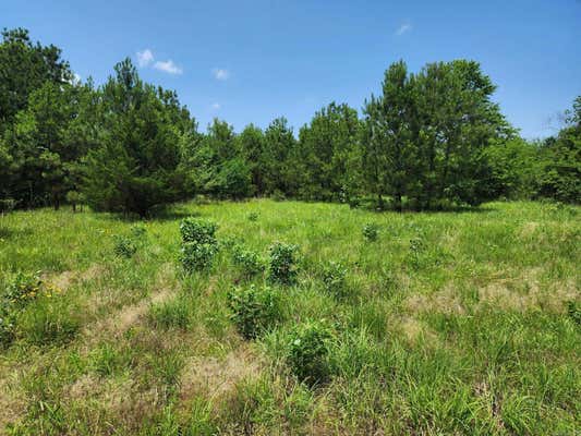 24 ACRES ON CENTER STREET, BALD KNOB, AR 72010, photo 3 of 21