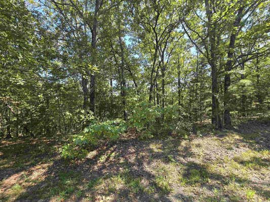 LOT 197 PINE HILL ROAD, FAIRFIELD BAY, AR 72088, photo 2 of 3