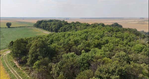 22.79 ACRES GREENE 318, PARAGOULD, AR 72450 - Image 1