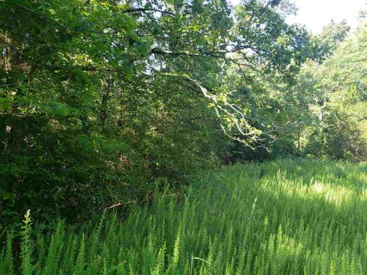 L-4, B-2 WIYOT TRACE, CHEROKEE VILLAGE, AR 72529, photo 3 of 15