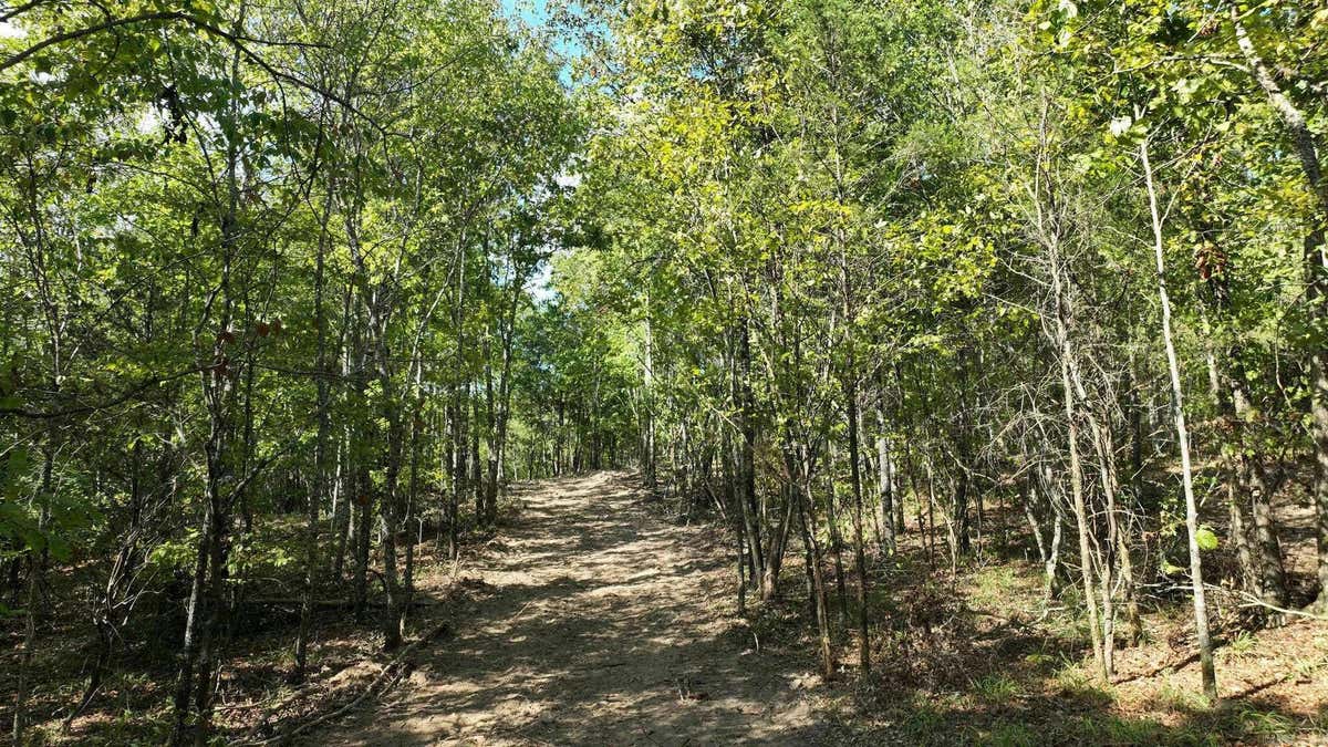 TBD, TRACT 2 POLK ROAD 158, MENA, AR 71953, photo 1 of 18