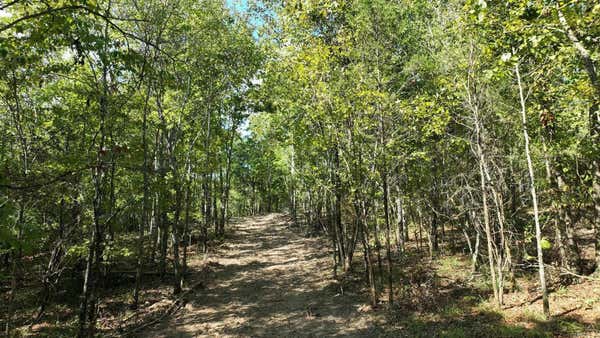 TBD, TRACT 2 POLK ROAD 158, MENA, AR 71953 - Image 1