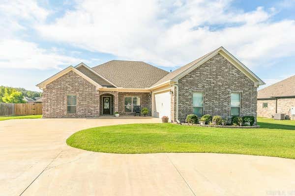 166 HUDSON BRANCH DR, AUSTIN, AR 72007 - Image 1