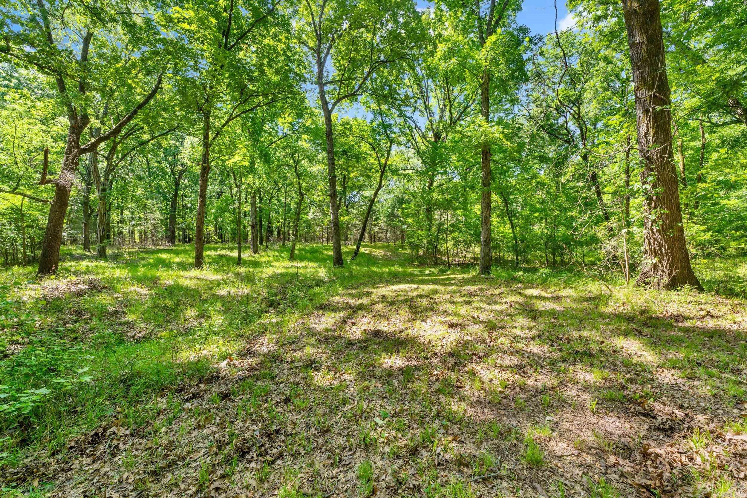 Greenbrier, Arkansas, 72058, United States, 3 Bedrooms Bedrooms, ,2 BathroomsBathrooms,Residential,Active,2051960