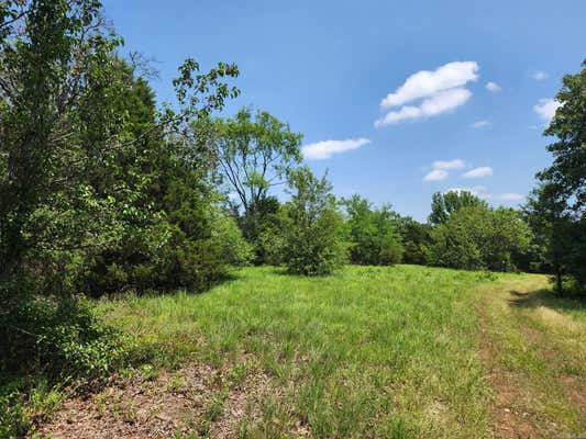 24 ACRES ON CENTER STREET, BALD KNOB, AR 72010, photo 4 of 21