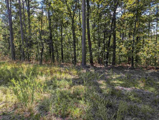 00 COLORADO DRIVE, PERRYVILLE, AR 72126 - Image 1