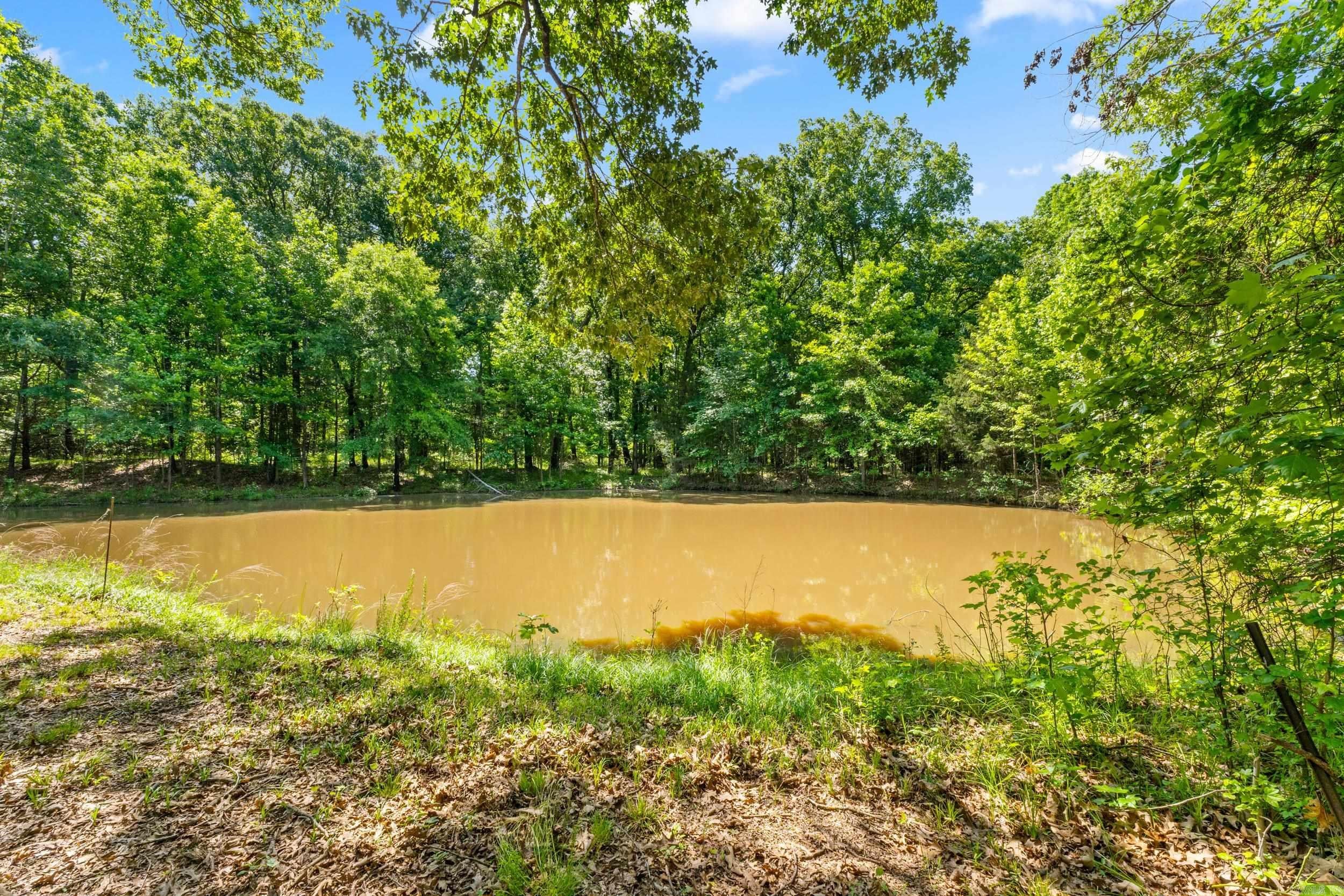 Greenbrier, Arkansas, 72058, United States, 3 Bedrooms Bedrooms, ,2 BathroomsBathrooms,Residential,Active,2051960