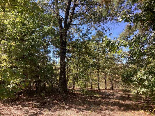 TBD POLK ROAD 6, WICKES, AR 71973 - Image 1