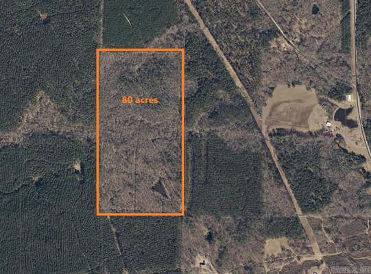 BISHOP RD, MONTICELLO, AR 71655 - Image 1