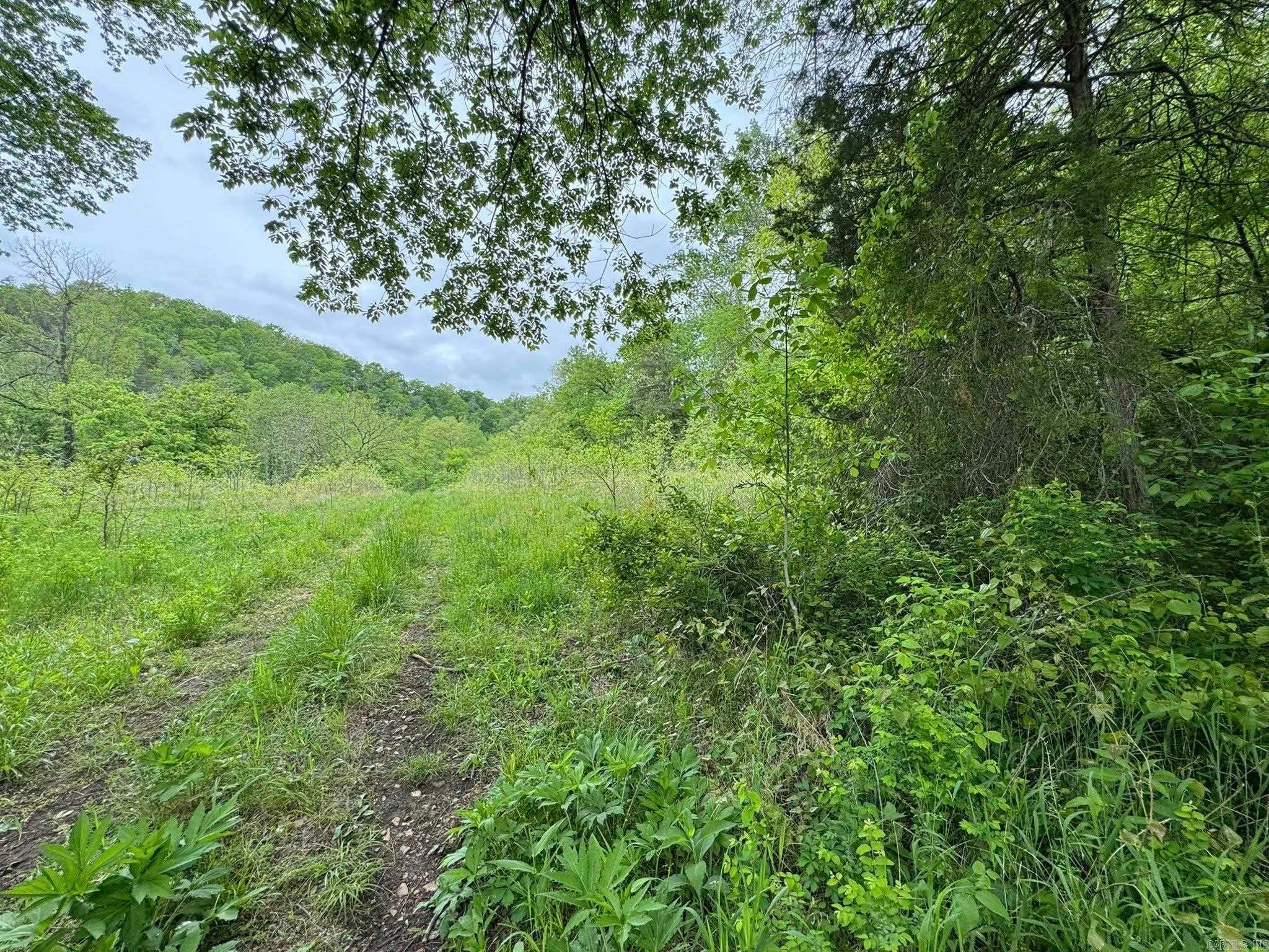 Fifty-Six, Arkansas, 72533, United States, 3 Bedrooms Bedrooms, ,1 BathroomBathrooms,Residential,Active,1787166