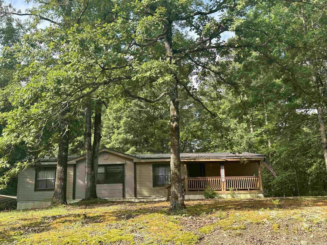 89 TWIN CREEK RD, MOUNT IDA, AR 71957, photo 1 of 20