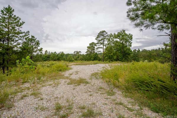 139 OUTBACK LANE, JORDAN, AR 72519 - Image 1