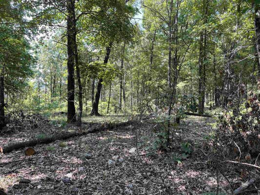 171 COUNTRY HERITAGE DR, ASH FLAT, AR 72513 - Image 1