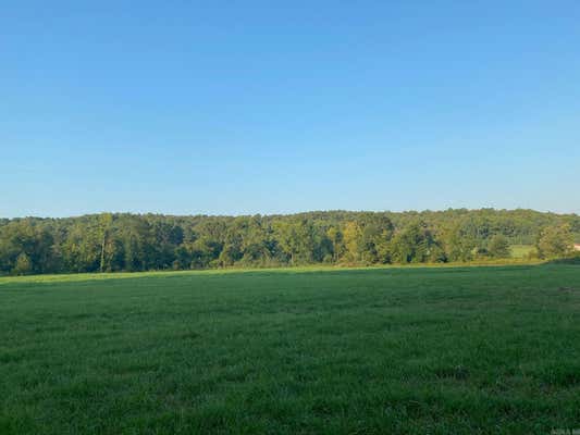 29.73 ACRES CR 3371, CLARKSVILLE, AR 72830 - Image 1