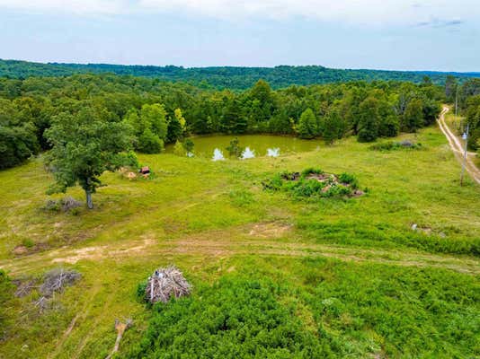 0 PETER MARTIN HILL RD, CAVE CITY, AR 72521 - Image 1