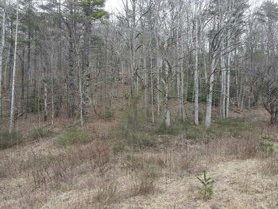 TBD BULLS GAP RD., CULLOWHEE, NC 28723, photo 3 of 57