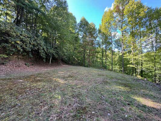 LOT E TWIN COVES RD, BRYSON CITY, NC 28713 - Image 1