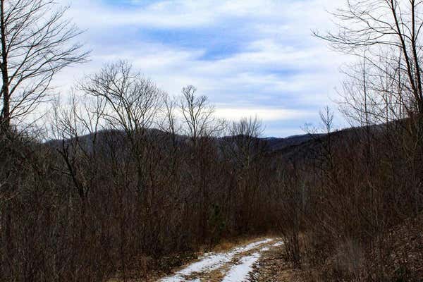 1824 BLACK ROCK RD, QUALLA, NC 28719, photo 3 of 49