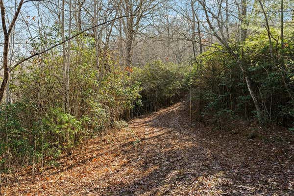 69 & 81 WINTER MOON RIDGE, SYLVA, NC 28779, photo 3 of 27