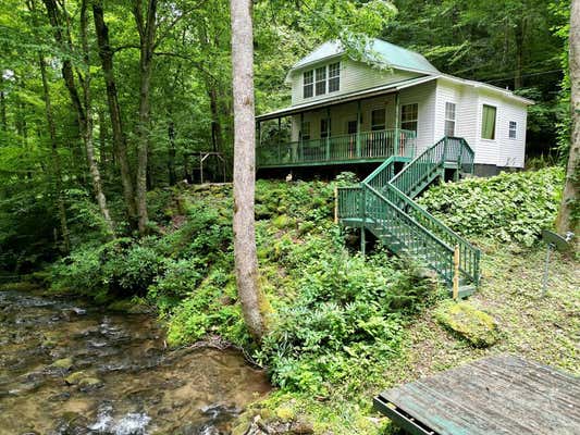 308 HOOPER MILL LN, ROBBINSVILLE, NC 28771 - Image 1