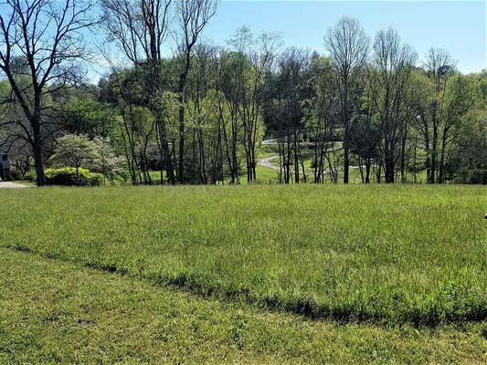 LOT 15 BRYSON CITY RD, FRANKLIN, NC 28734, photo 4 of 12