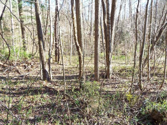 000 HOOPER CHASTAIN ROAD, TUCKASEGEE, NC 28783, photo 2 of 31