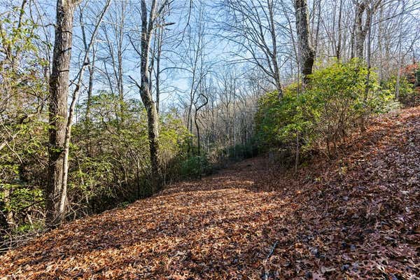 69 & 81 WINTER MOON RIDGE, SYLVA, NC 28779, photo 4 of 27