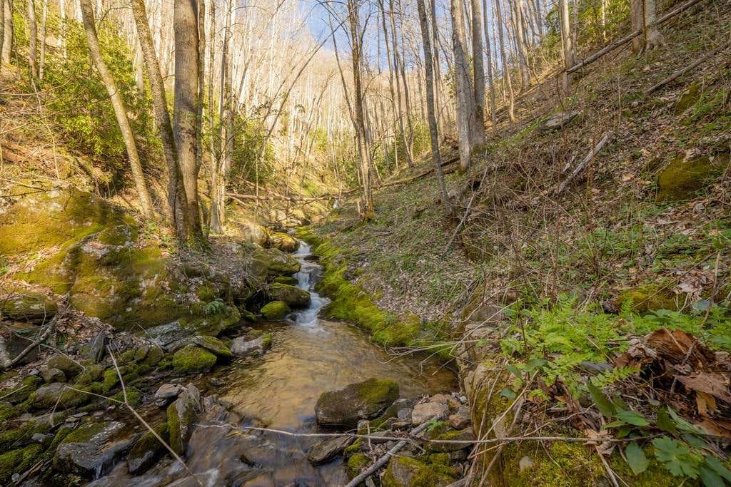 00 BUFF CREEK ROAD, SYLVA, NC 28779, photo 1 of 20