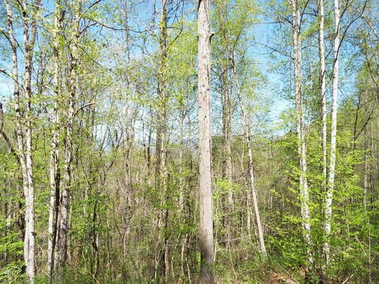 000 BANNICK SPRINGS ROAD, WHITTIER, NC 28789, photo 2 of 9