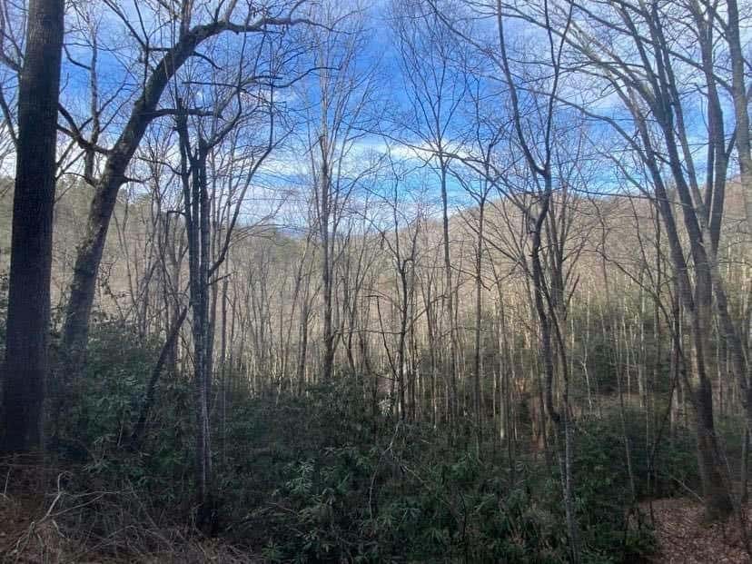 LOT D-3 BRIGGS COVE ROAD, ROBBINSVILLE (GRAHAM), NC 28771, photo 1 of 4